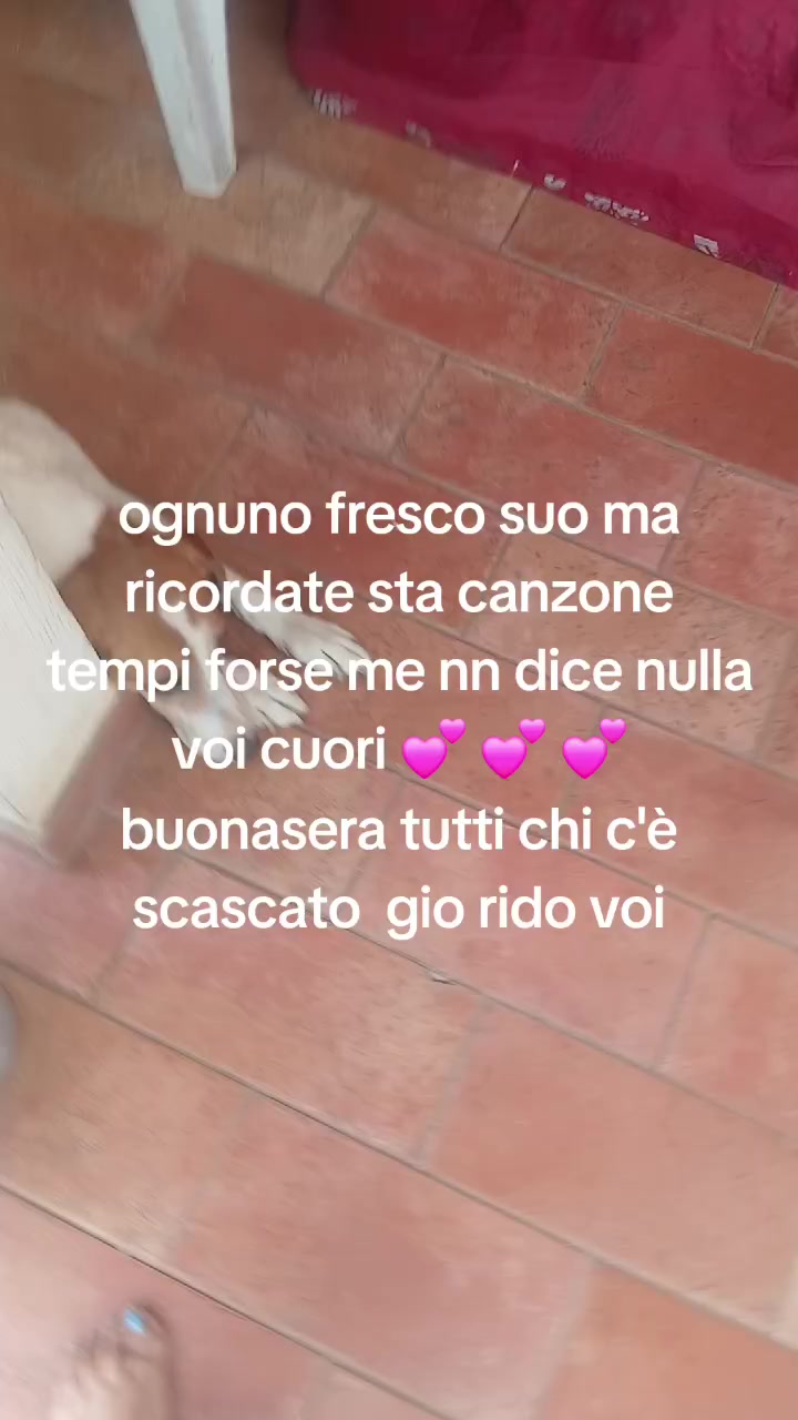 @lilymarlene72