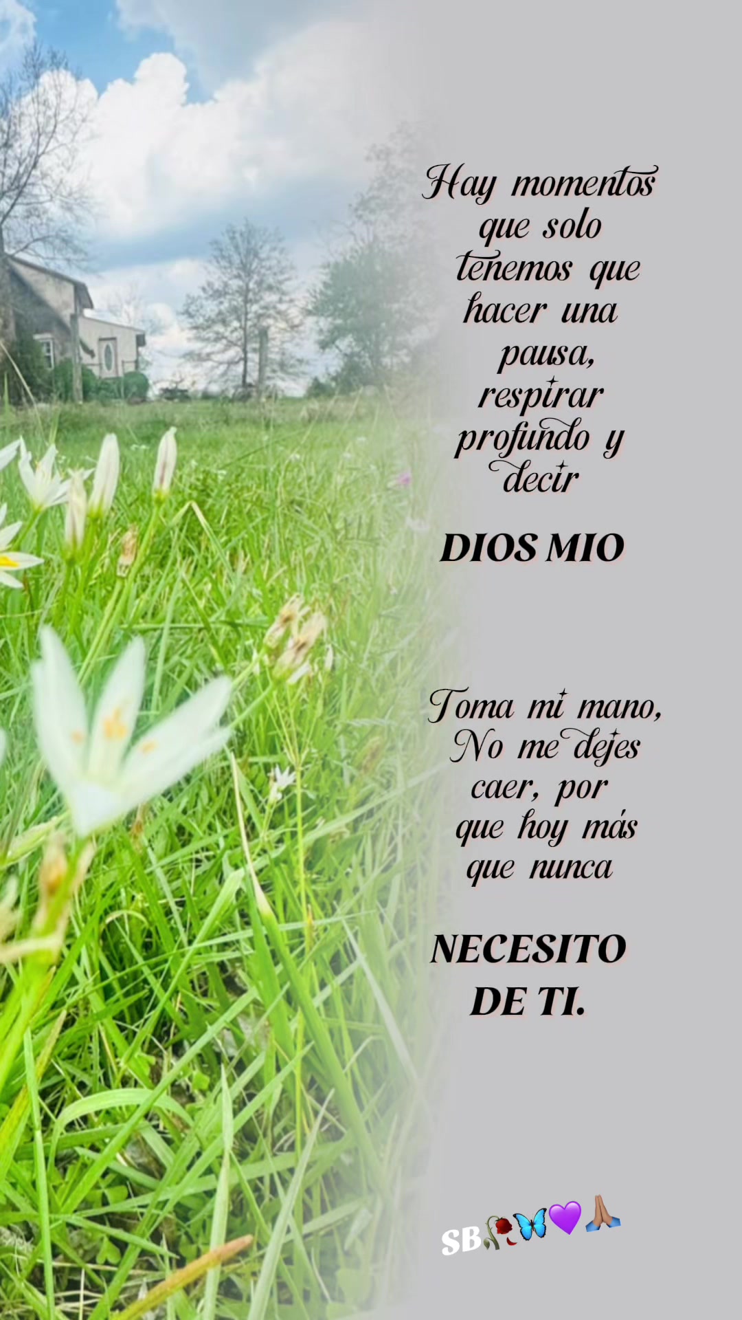 @Tity Bowen 🦋💜