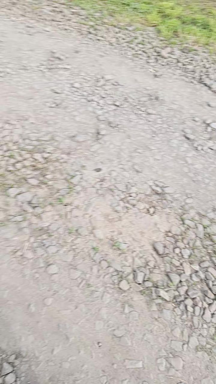 @метро спарта