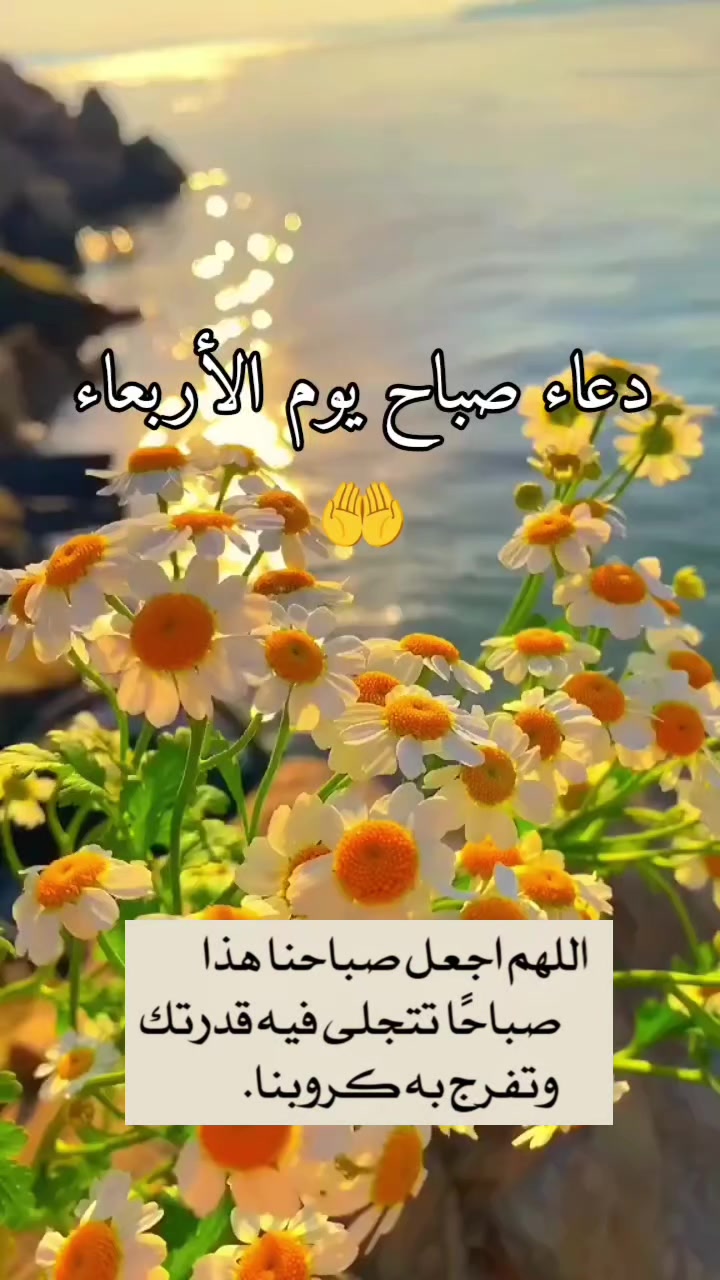 @روح وريحان