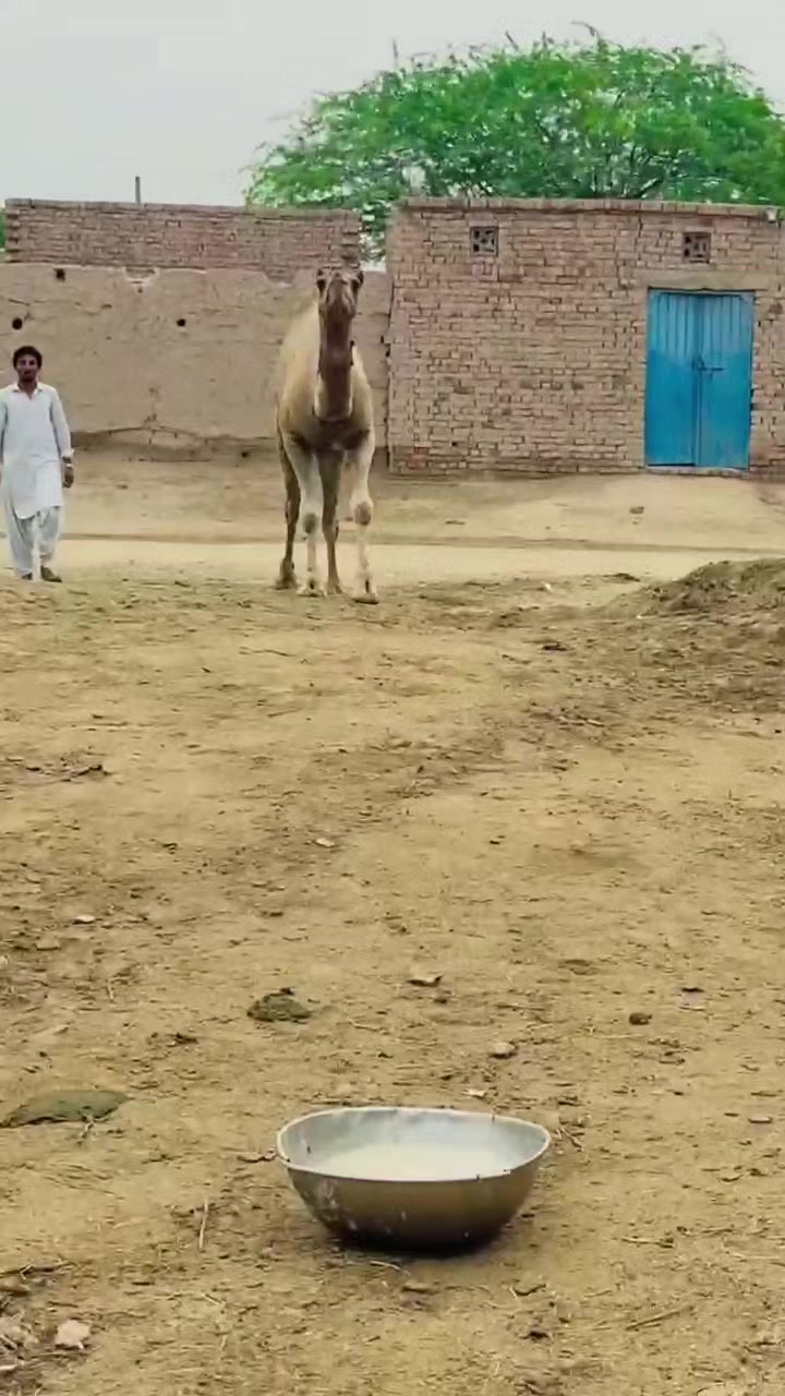 @M.Abbas