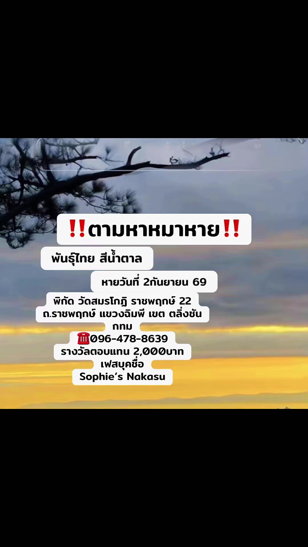@Saowanee Sriya