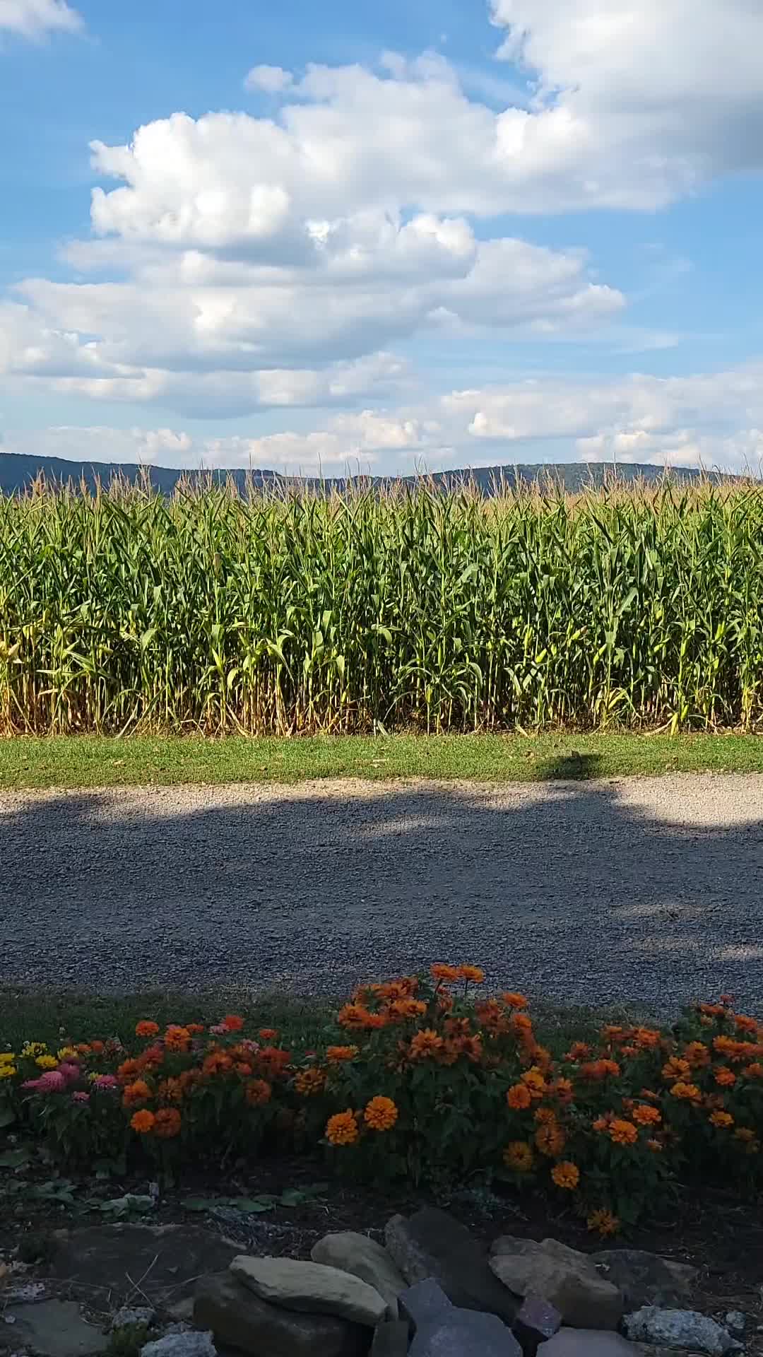 @Just Another FarmFluencer