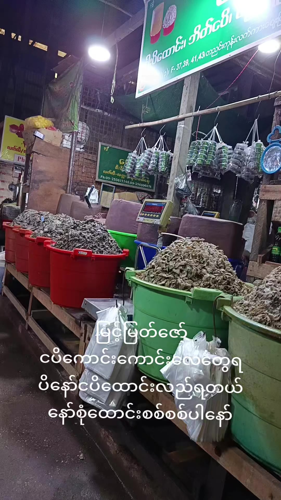 @မြင့်မြတ်ဇော်ငပိဆိုင်