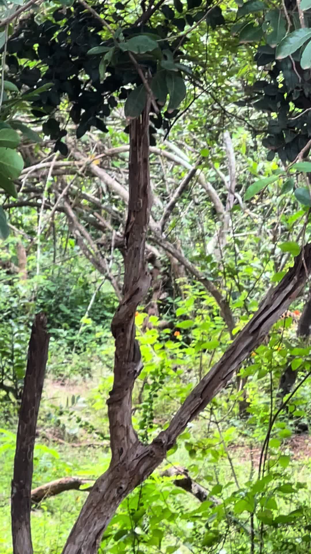 @Udeepa__🧿