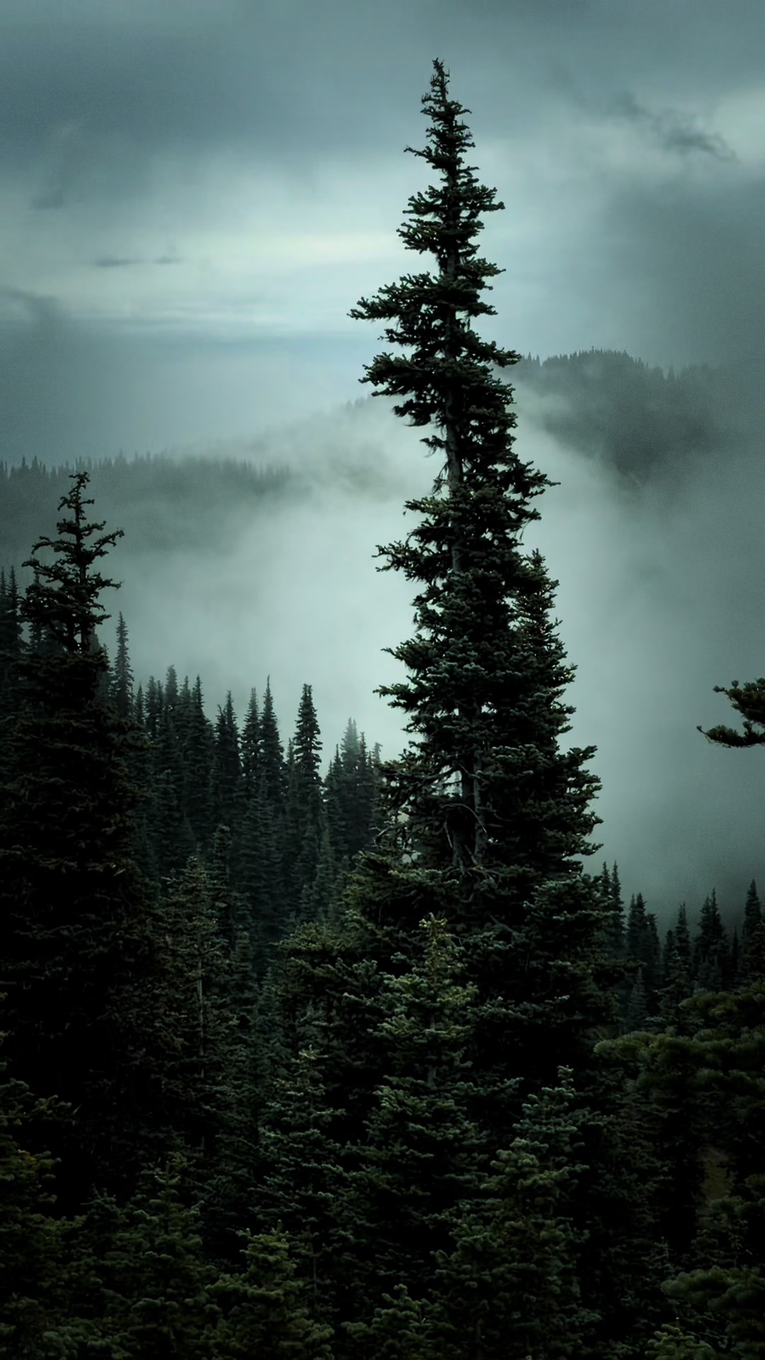 @Jordan PNW Adventures