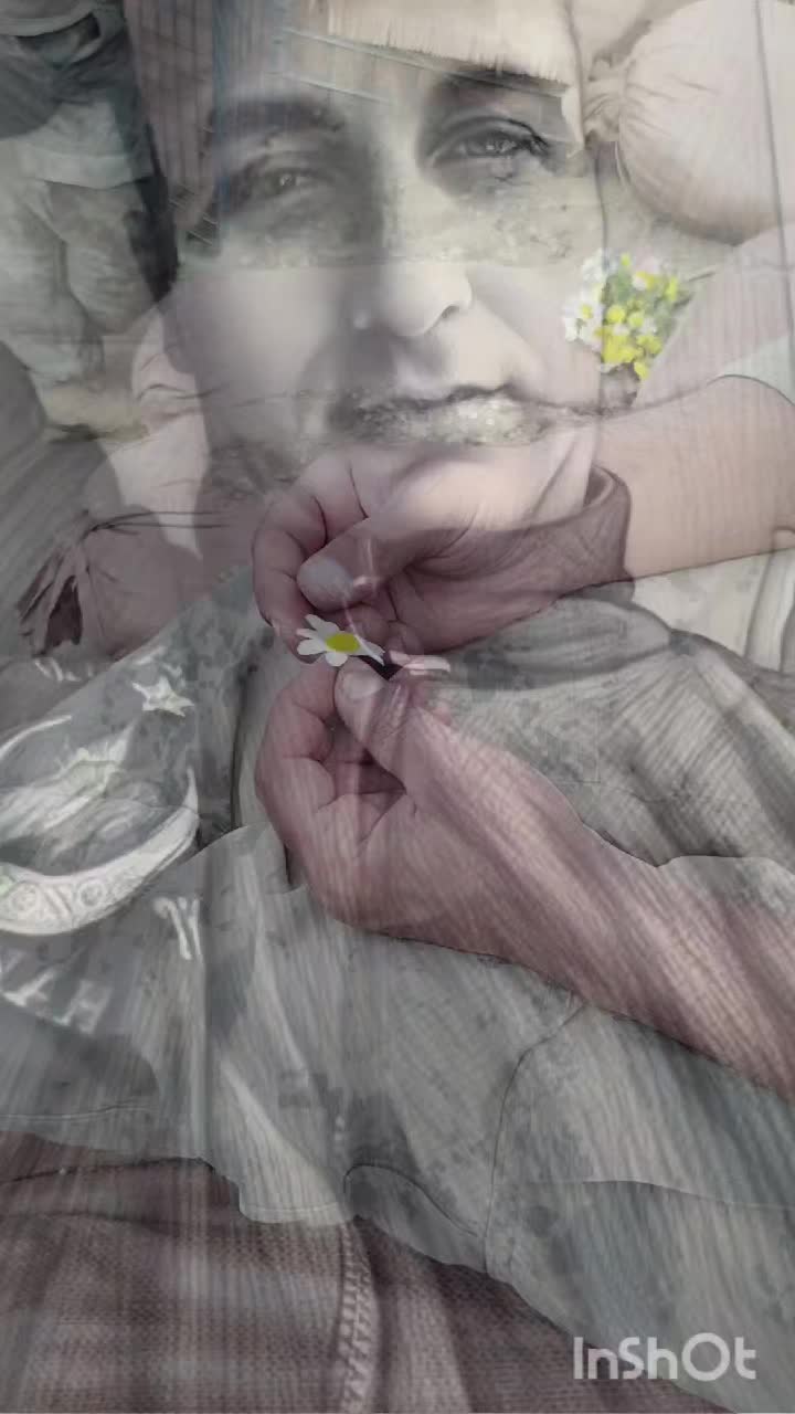 @damar_16