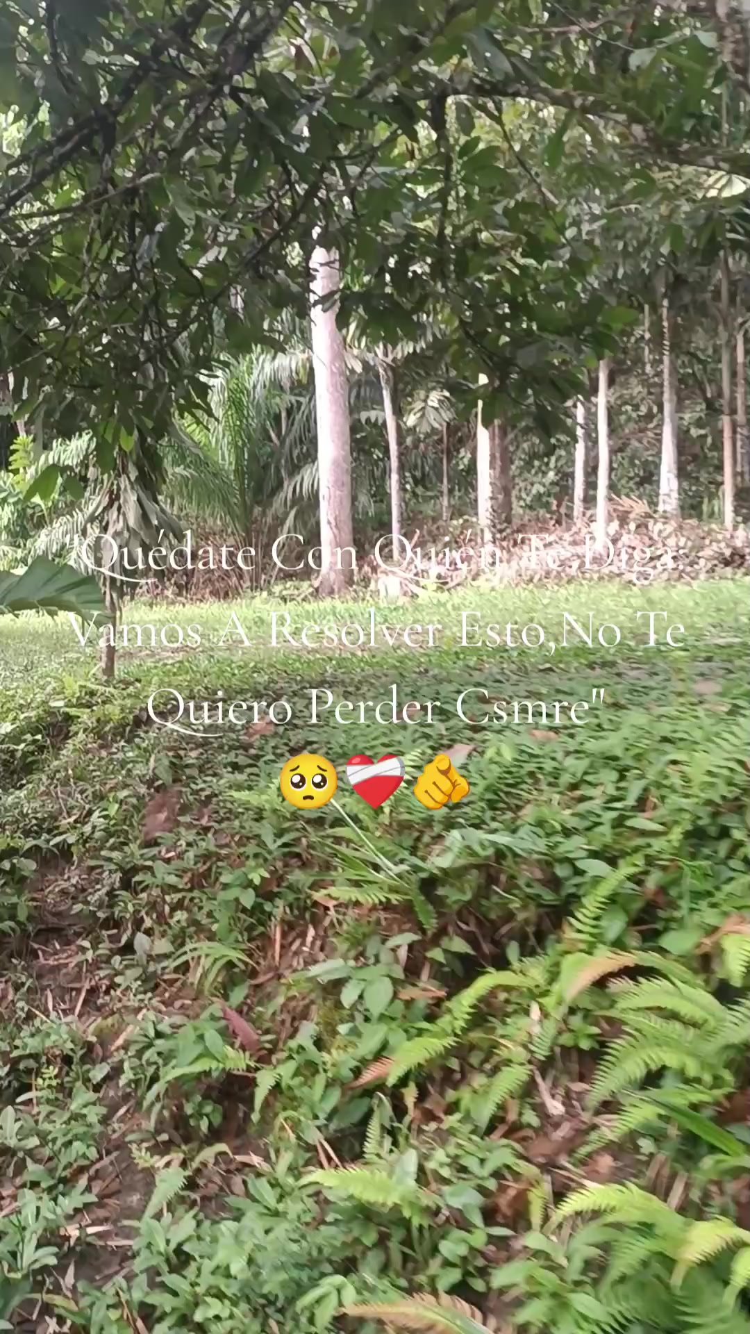 @Johel A.Quispe1
