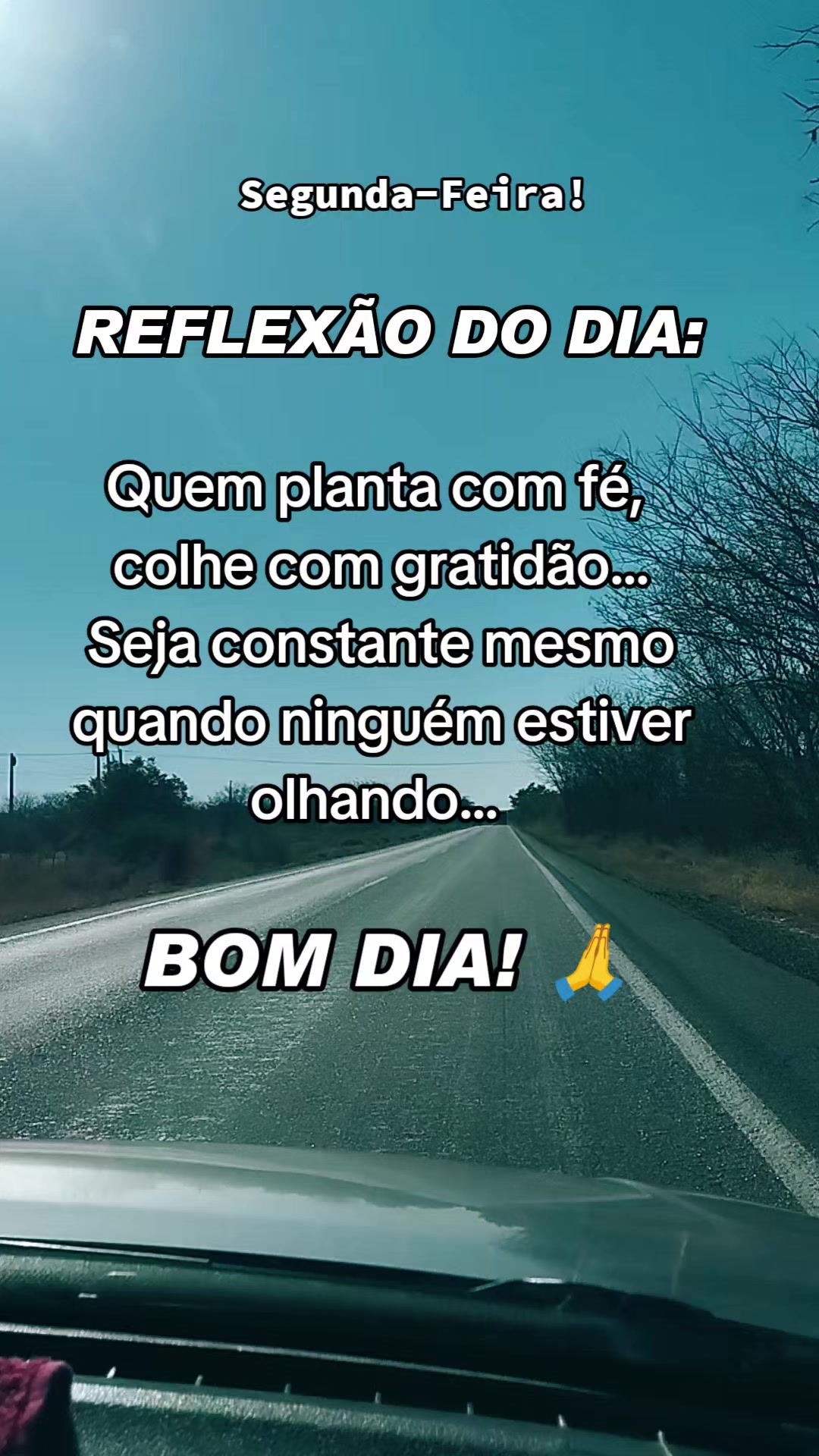 @Jaque