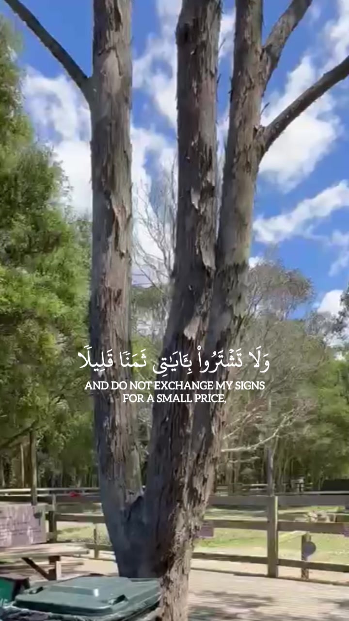 @afg.gril ᥫ᭡. 𝄞