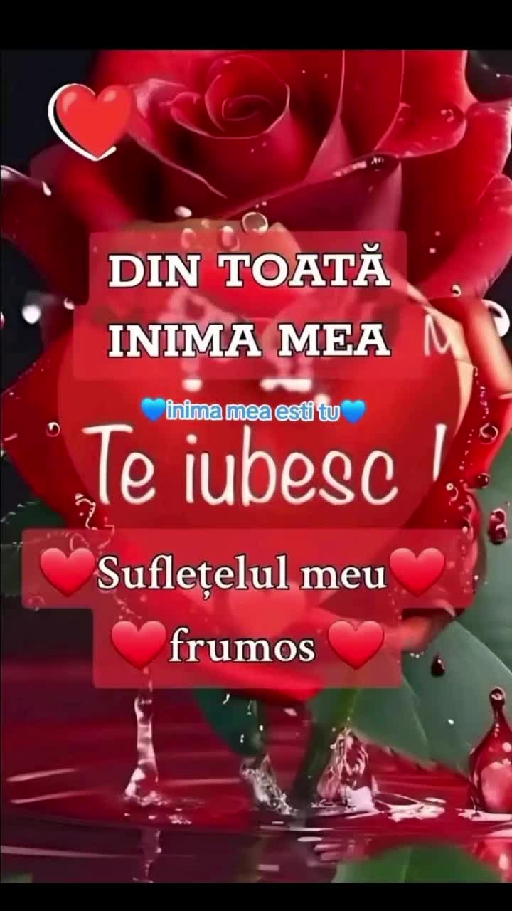 @💫💫Layla 💫💫