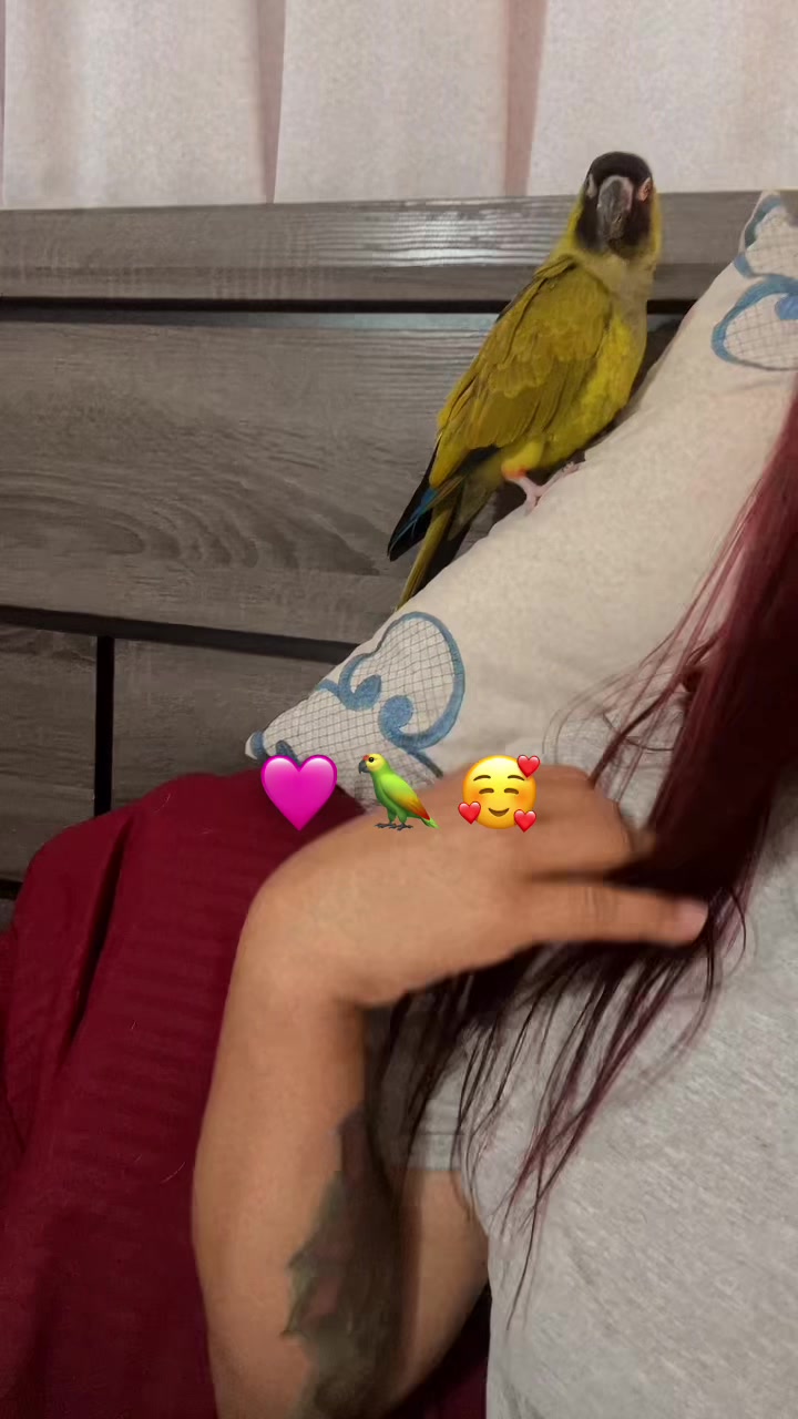 @SandritaSM ❤️