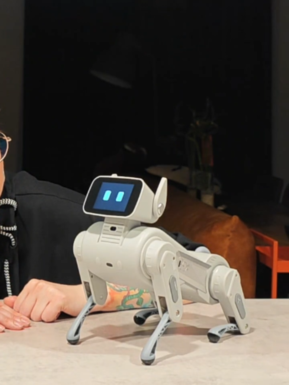 @Living with Robots