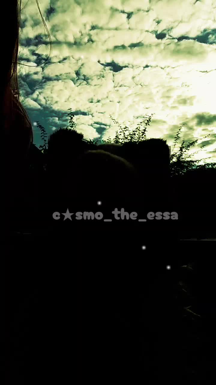@cosmo_the_essa⭐