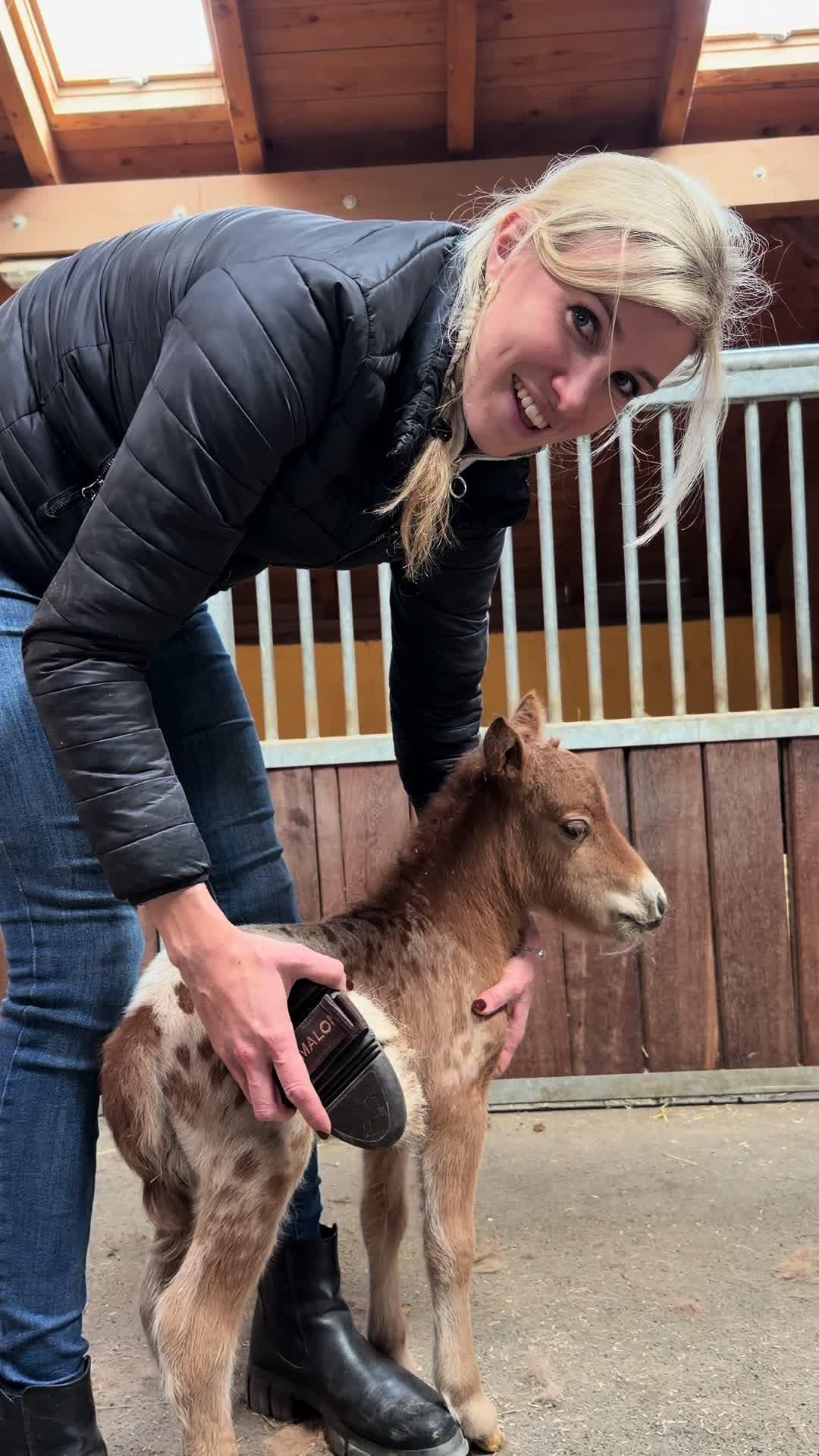 @julia_libertyhorses