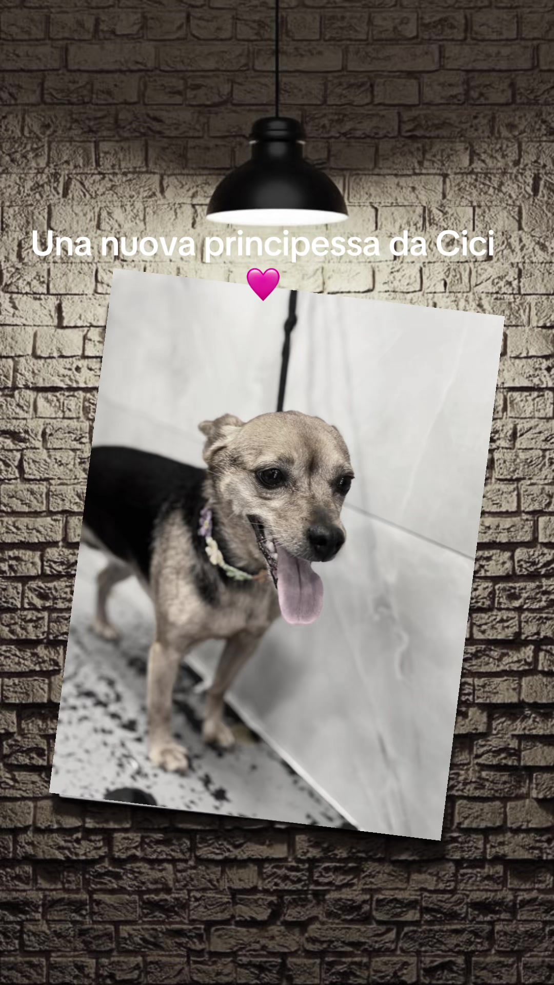 @Il bagnetto da Cici