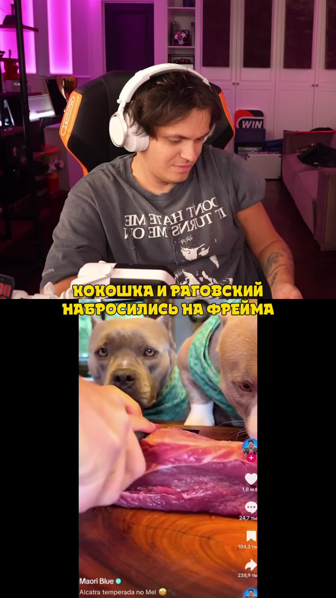 @Твич и Точка