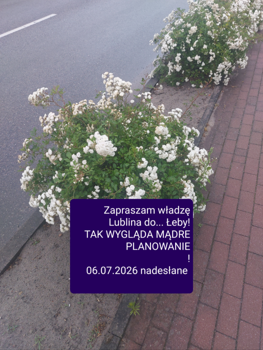 @andrzejfilipowicz00