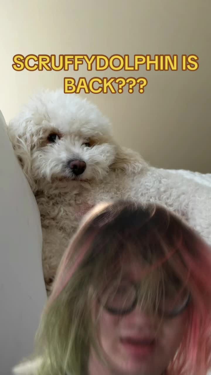 @scruffydolphin