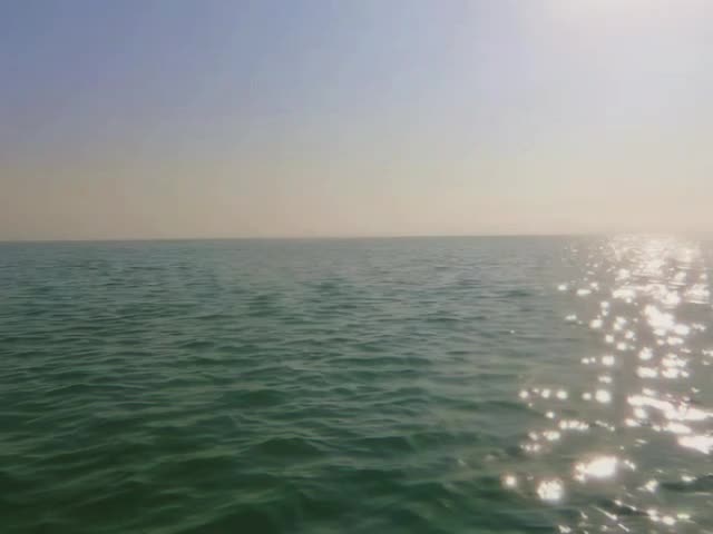@𝘿𝙄𝙂𝙄𝙏𝘼𝙇𝙄𝙎