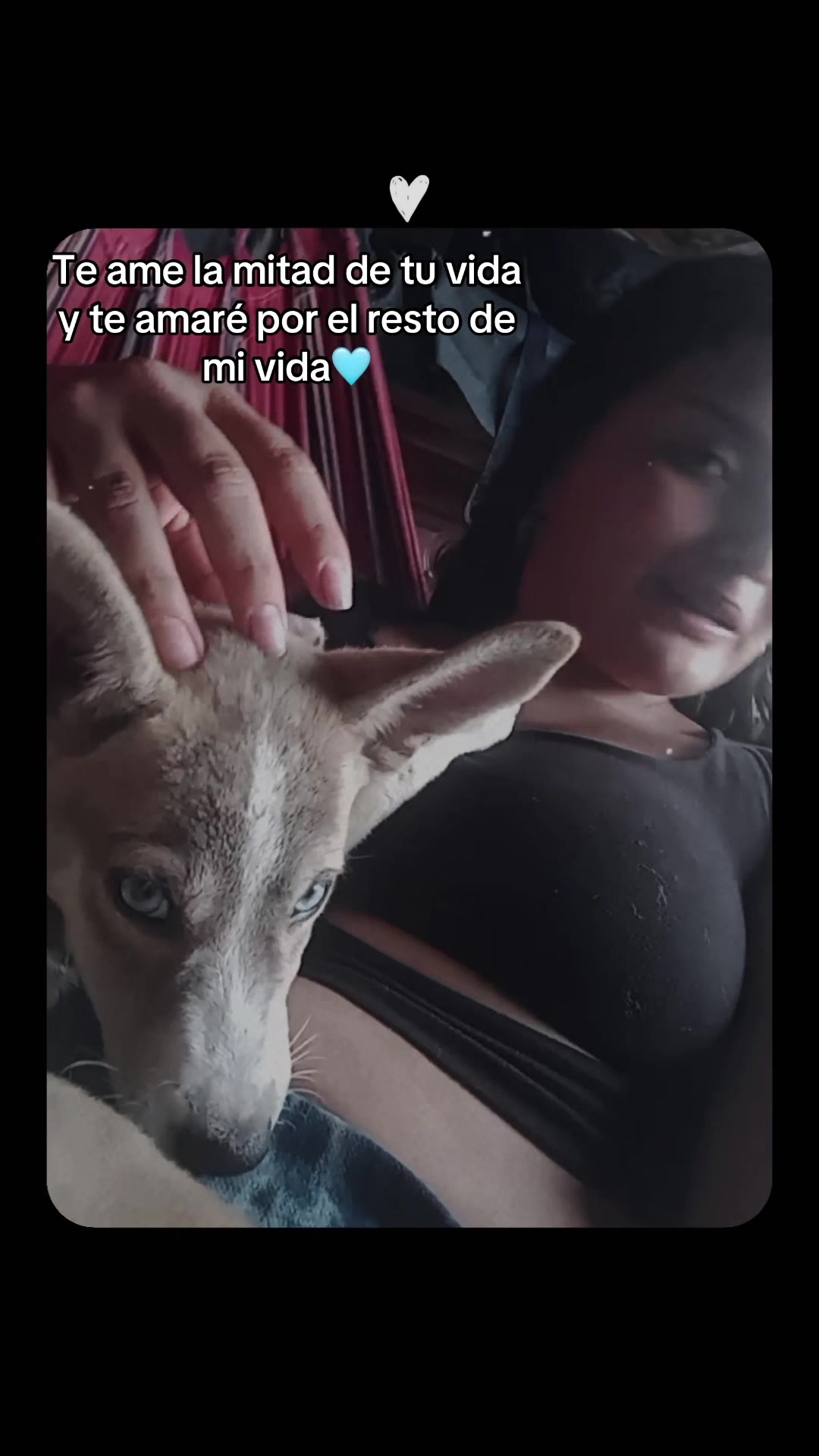 @Zule 