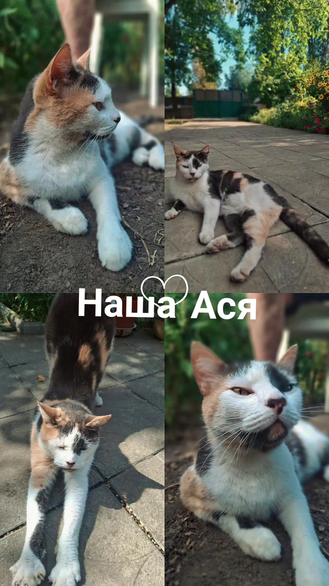 @РифмоДед