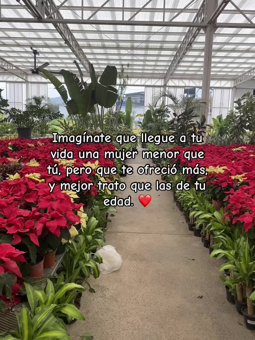 @ツ