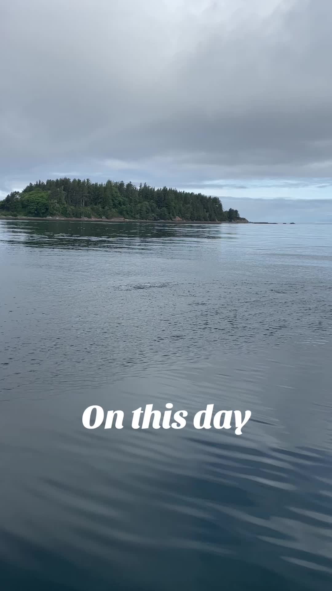 @BigSalmonMike