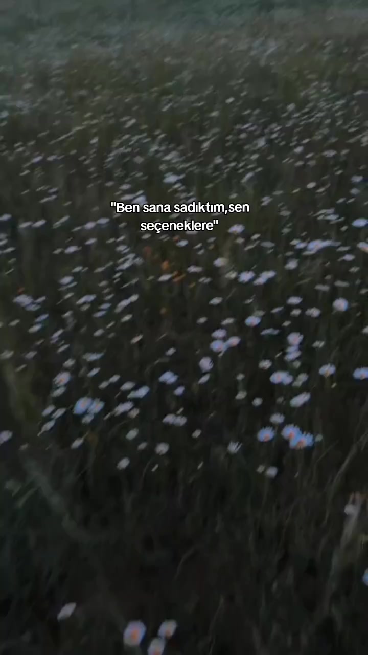 @Nazoxp8