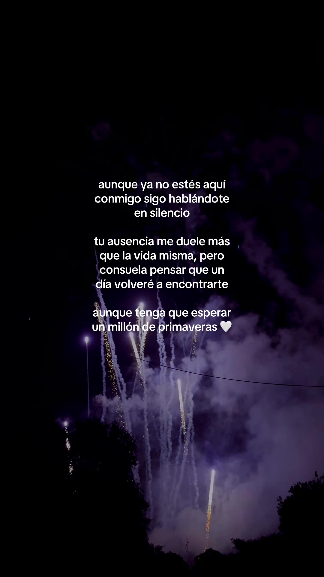 @ossi 🕷️