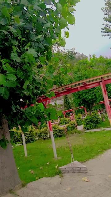 @✓✓👑KASHAR∆&reg;✓KHAN &sect;1👑✓