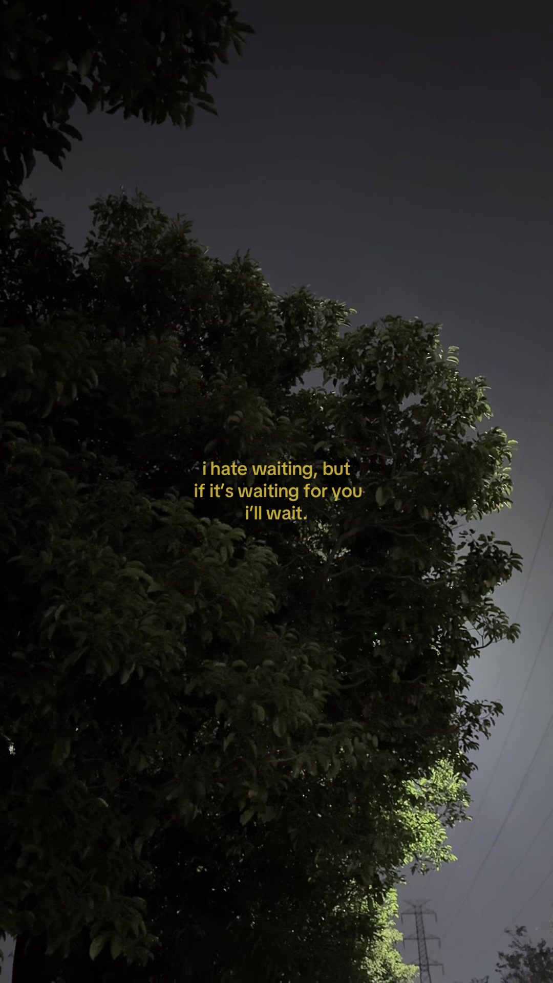 @goodbye stranger