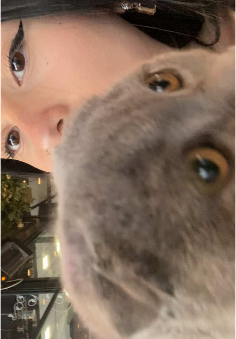 @minaaa