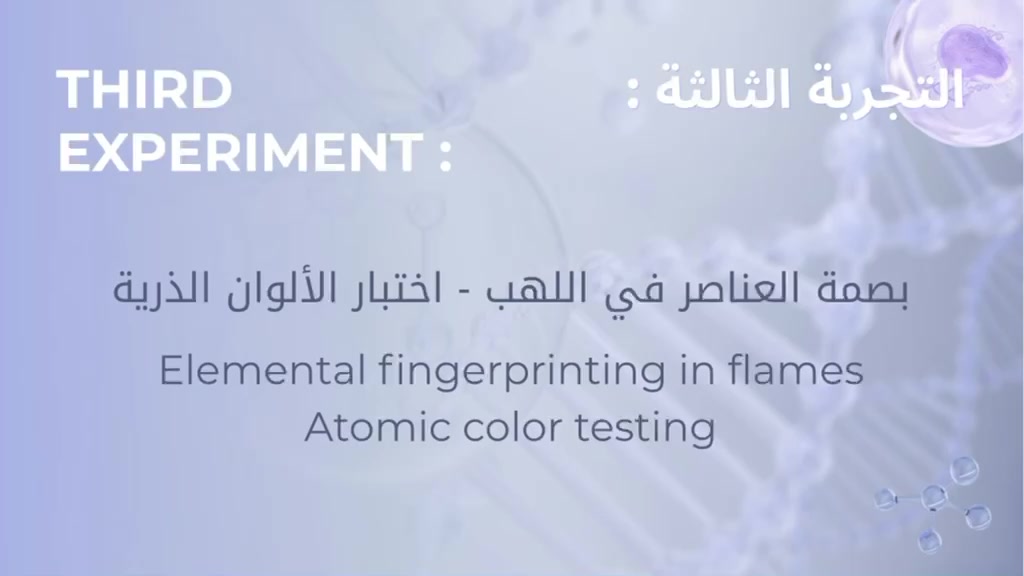 @فاتن الغامدي