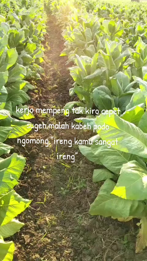 @R.RESTU๐ซถ๐ผ