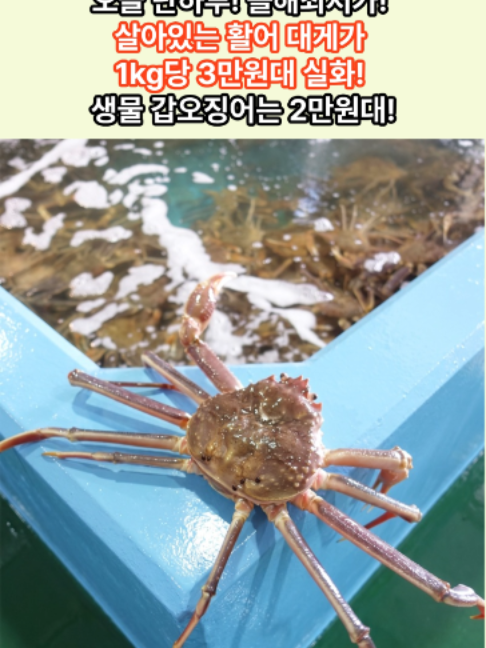 @킹크랩 대게 동해수산유통