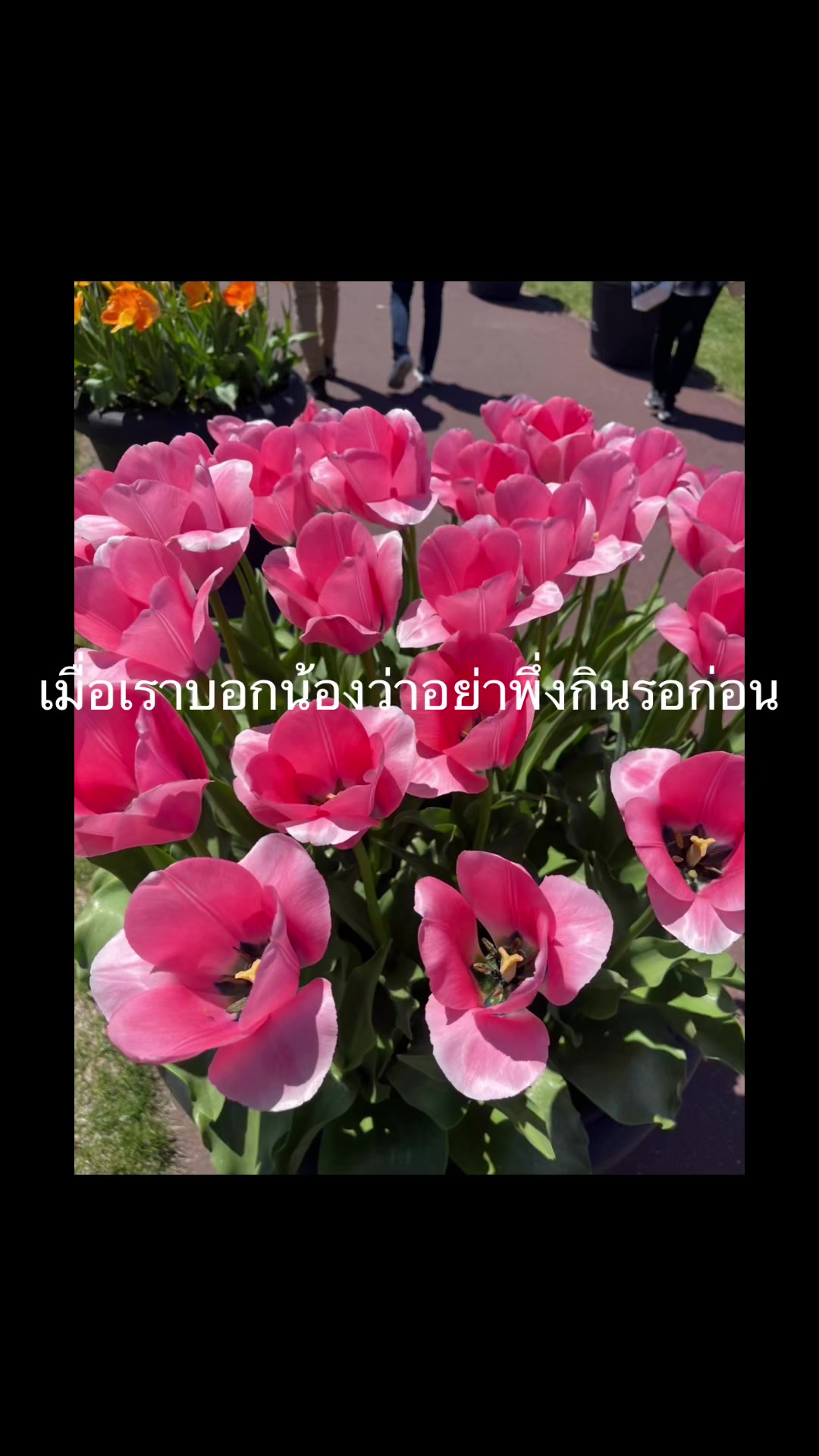 @𓆝⋆เคทเพื่อนบอกไม่เต็ม🤓🤓𓆝⋆