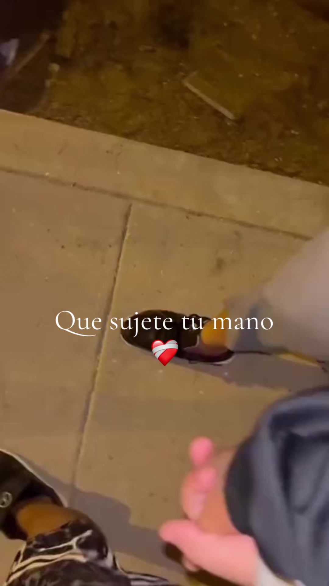 @A'tr fabian plks