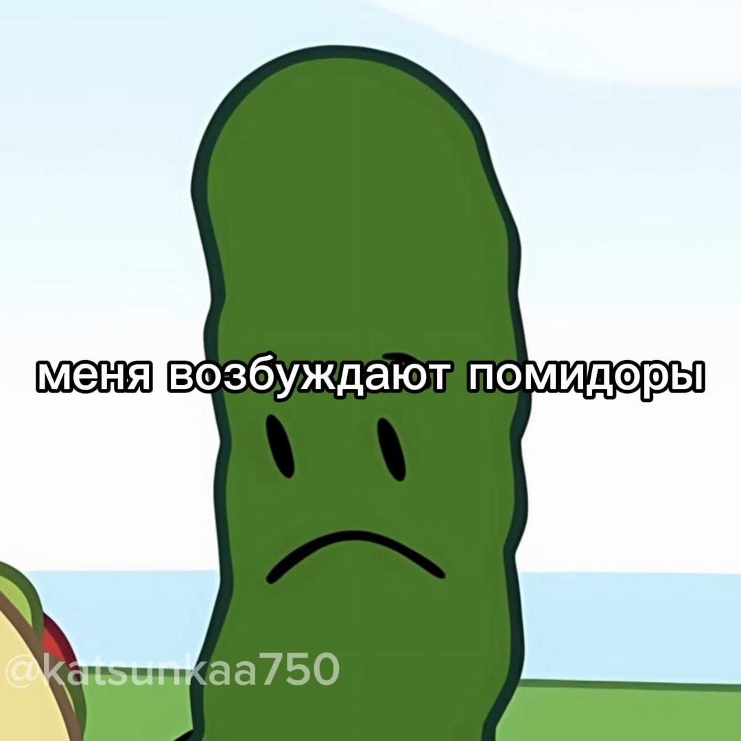 @кацунка 🏝️💭//📱🍪