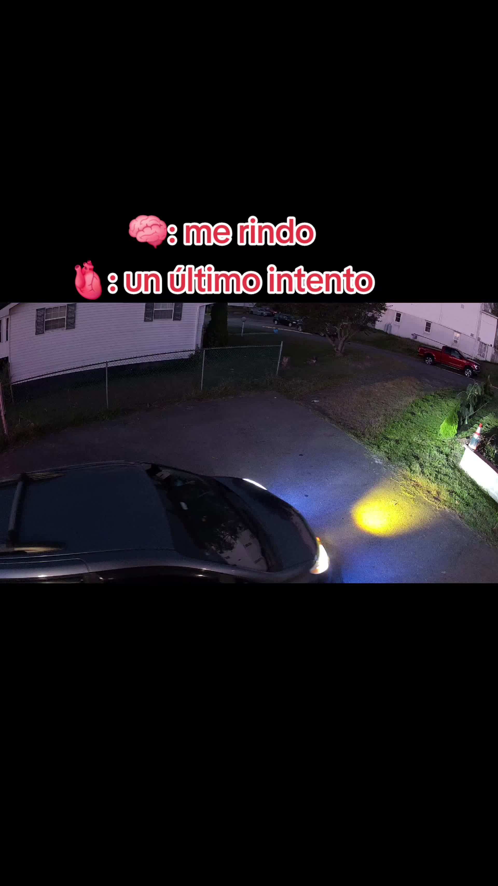 @el panda solitario