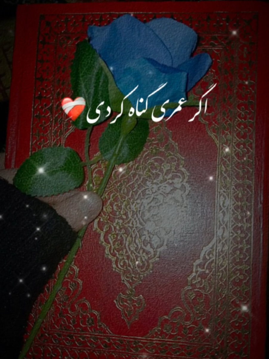 @_melek_şeker