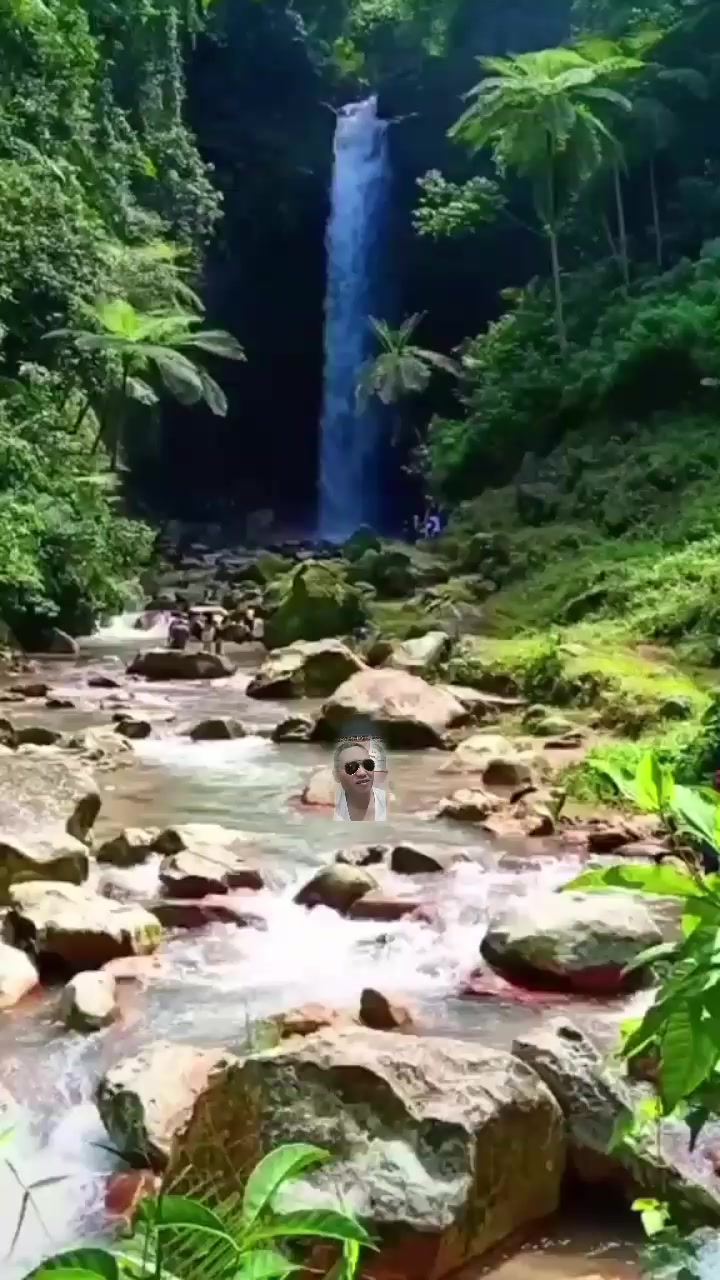 @dedi12