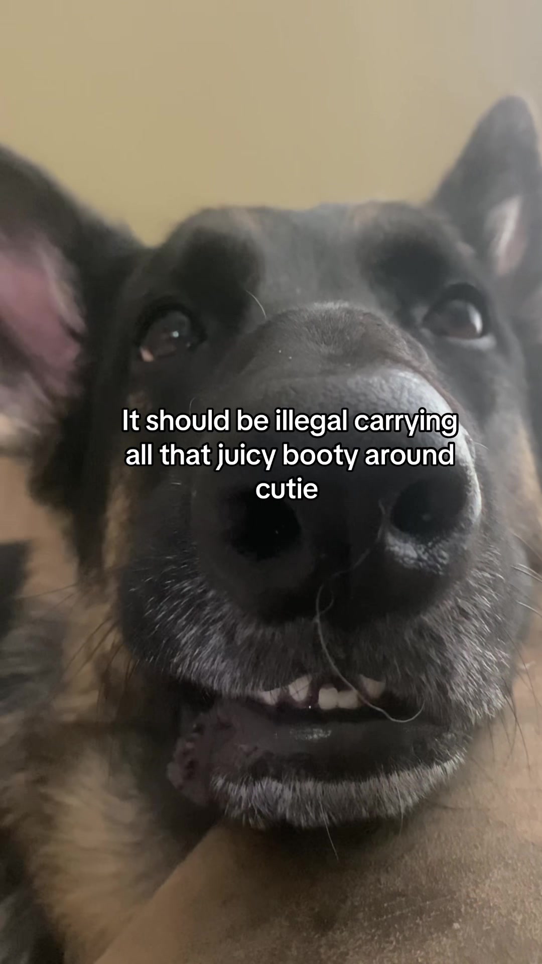 @Bhris