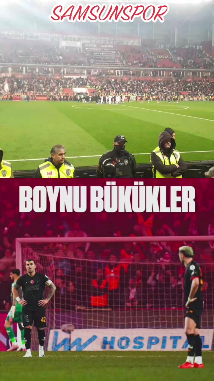 @🇹🇷🦈 Yavuz Ayık