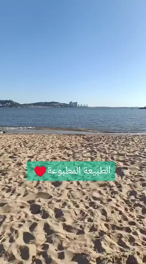 @IMMI