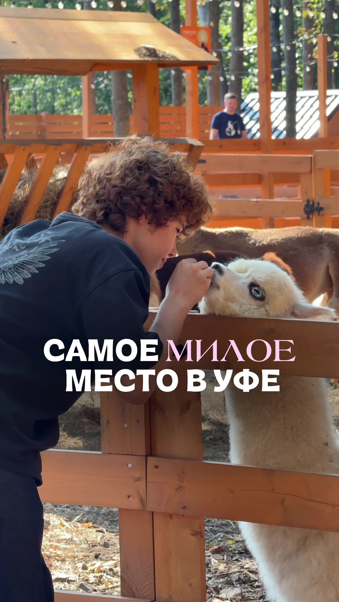 @Тася Карцева