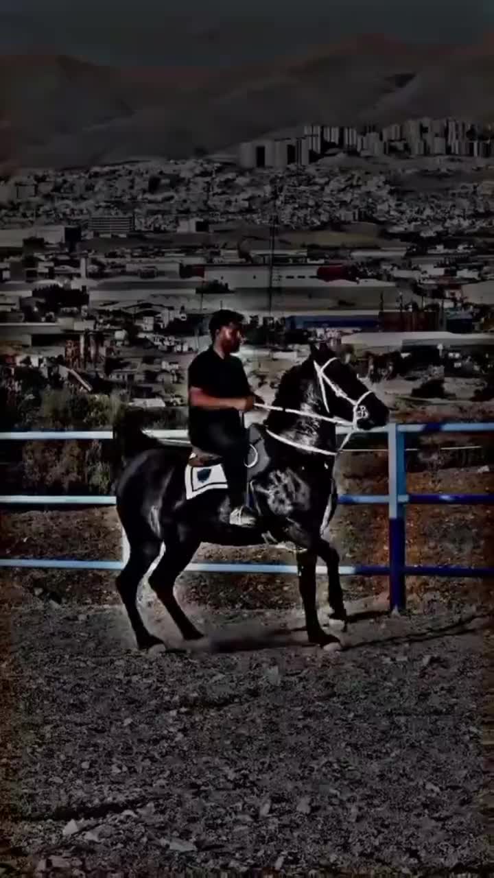 @⫸𝙈𝙞𝙍𝙯𝘼✫𝙎𝙖𝙍𝙆𝙖𝙍✫⫷