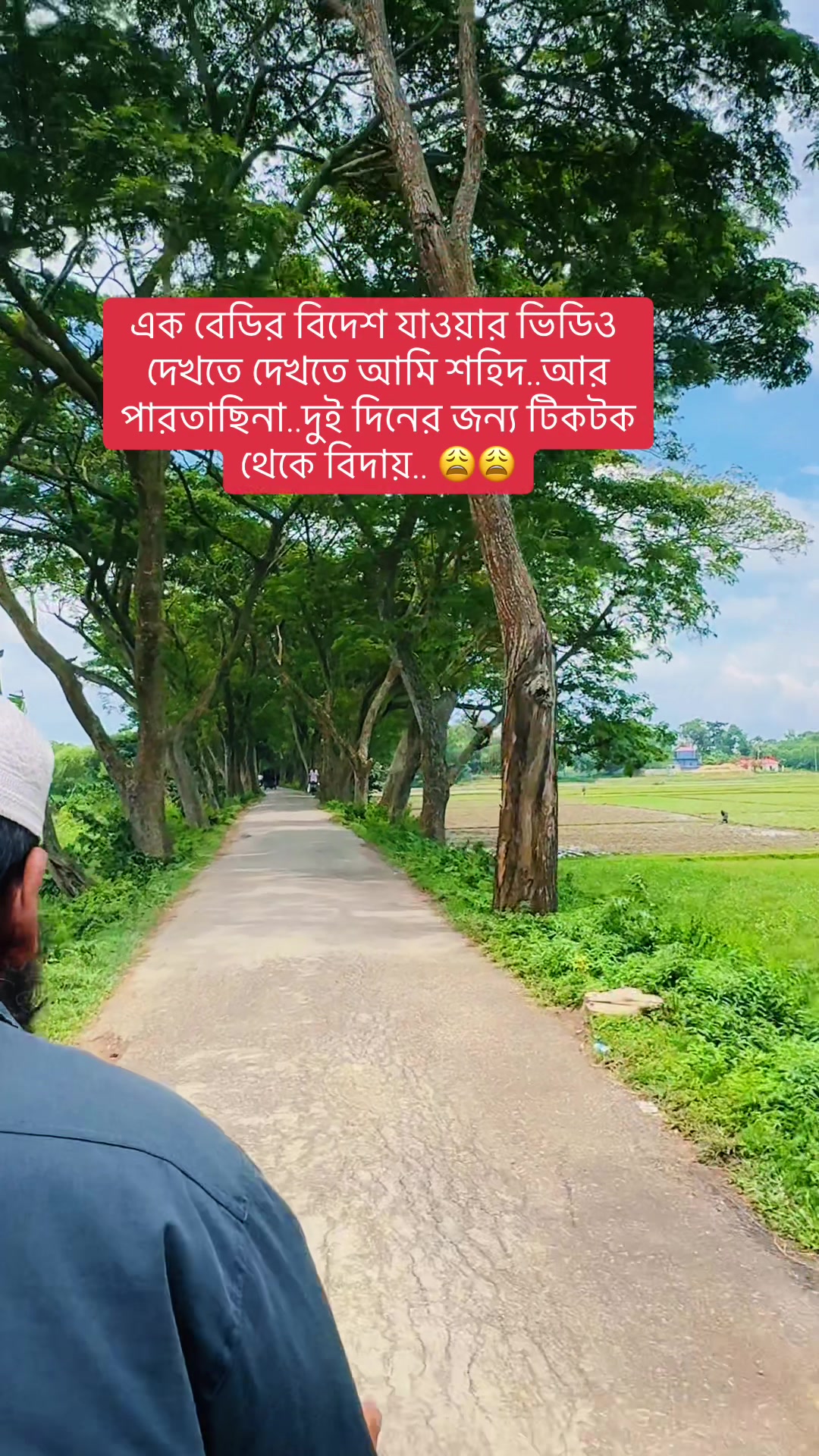 @জোসনা রাতের জোনাকী
