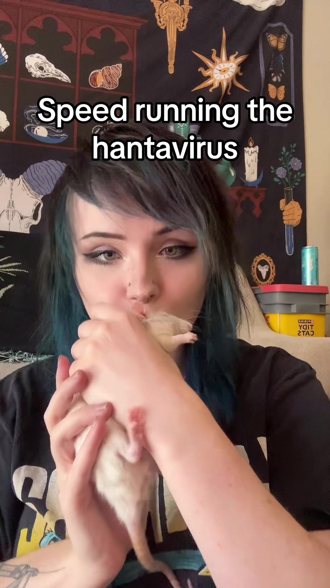 @🫀⋆˚꩜｡ Ankle Biter⋆˚꩜｡🫀