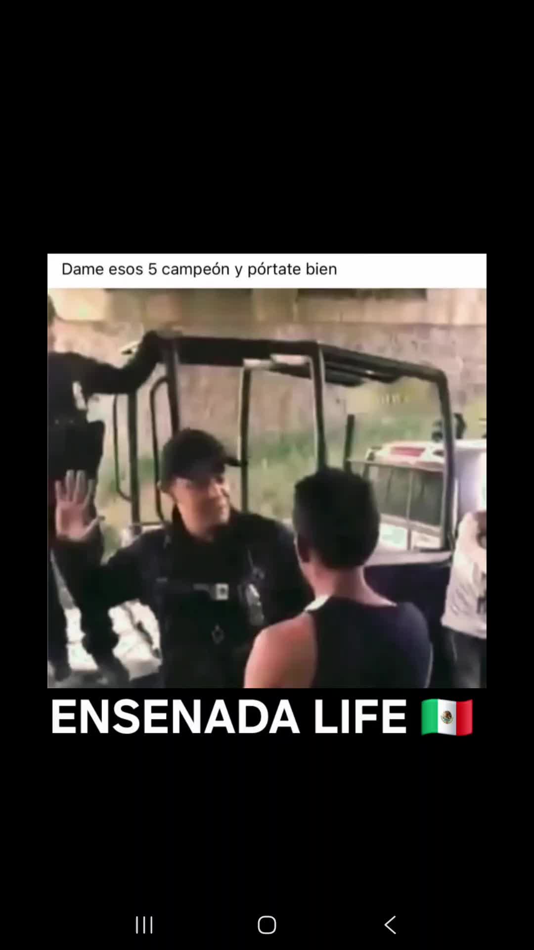 @EL Gallo Salcedo🇲🇽